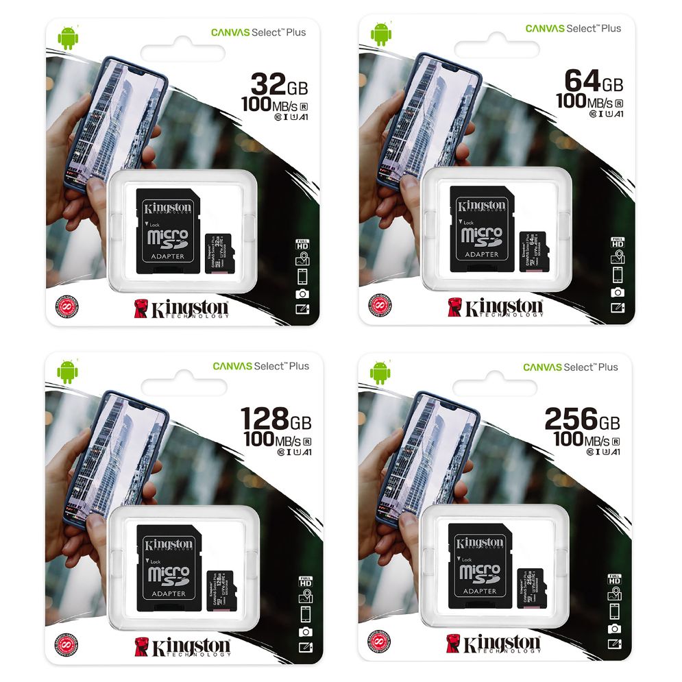 Carte Mémoire MicroSD Kingston 256go Canvas Select Plus avec Adaptateur SD  - KINGSTON